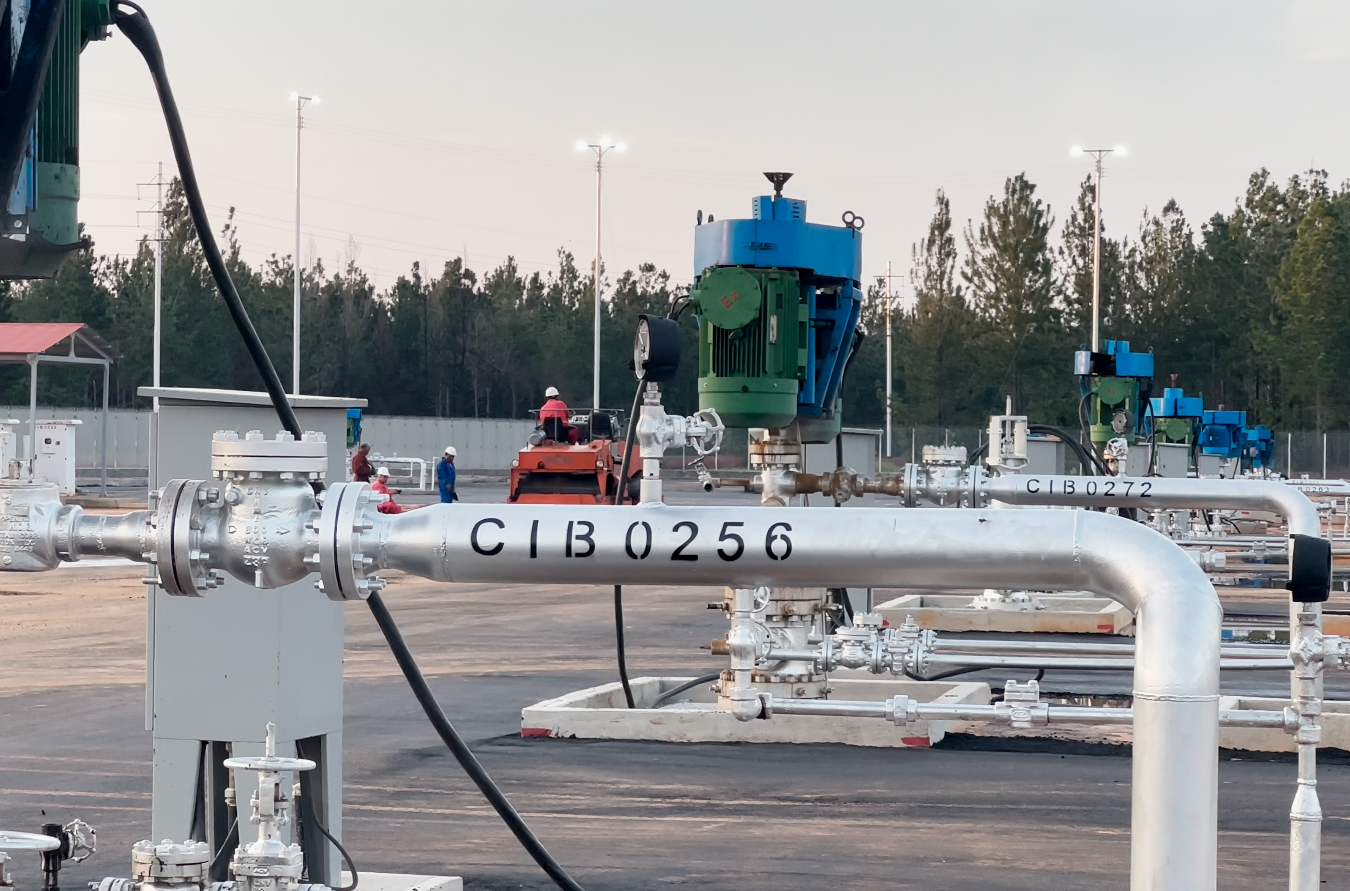 Imagen Captura-de-pantalla-2026-01-14-180019